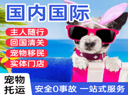 玉林福绵机场邮寄国际宠物托运 【国